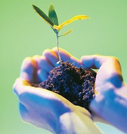 Si quieres cultivar la paz custodia la creaci&oacute;n